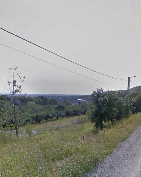 Teren de 1200 mp, în Podgoria