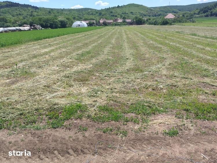 Teren de 3024 mp, în Sântimbru