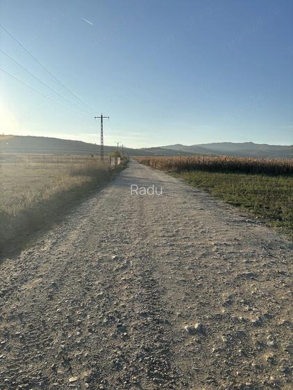 vand 2 terenuri extravilane Pacli?a Alba-Iulia
