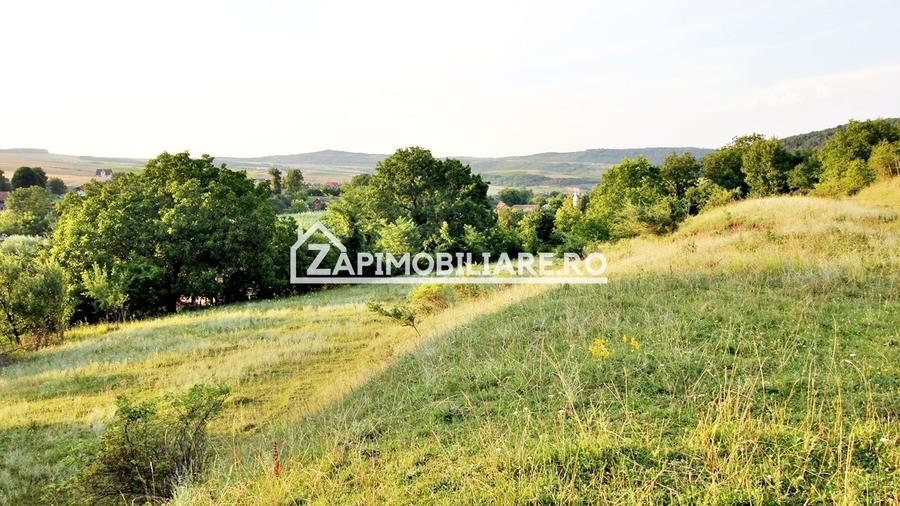 Teren Construcții intravilan de 5000 mp, în Herghelia