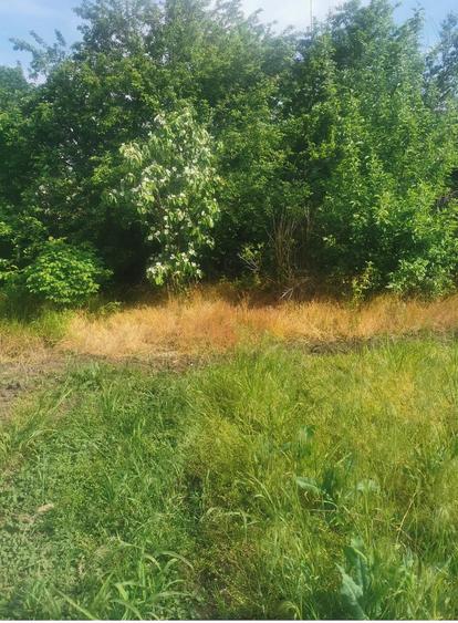 Teren de 1025 mp, în Valea Stânii