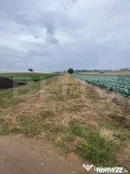 Teren de 4700 mp, în Central