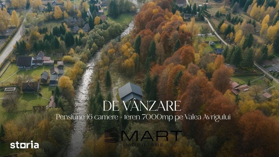 Casă cu Teren 7000 Mp în Porumbacu de Jos