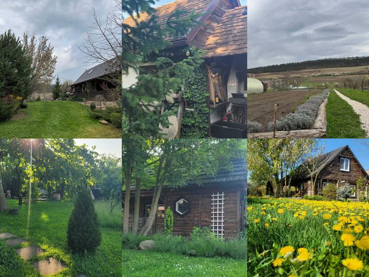 Casă cu 4 camere cu Teren 7500 Mp în Bazna