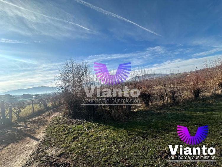 Teren Construcții intravilan de 500 mp, în Rășinari