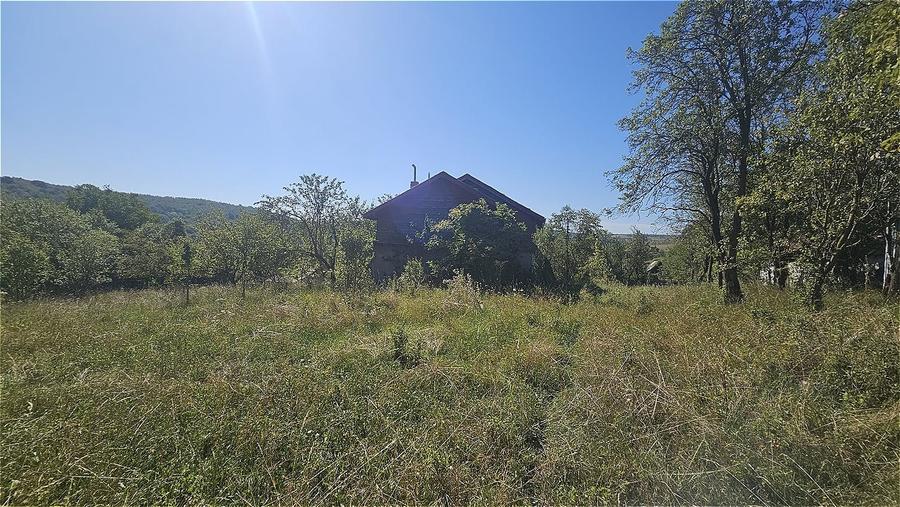 Casă individuală cu 4 camere cu Teren 4873 Mp în Pietroasa