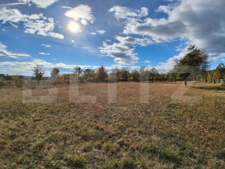 Teren agricol extravilan de 2423 mp, în Baia de Fier