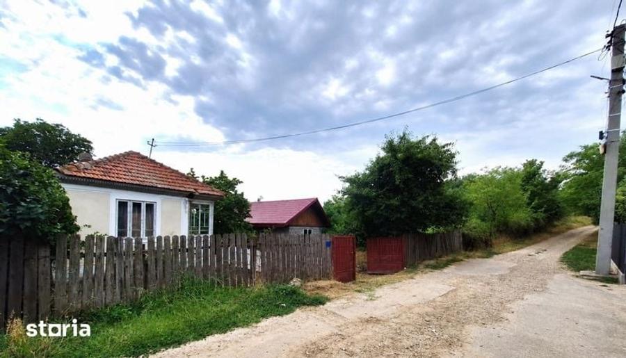 Casa de vanzare cu teren 5361mp - 4