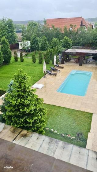 Domeniu Privat cu 3.278 mp Teren | Piscina, Iaz Ornamental si Resedint - 9