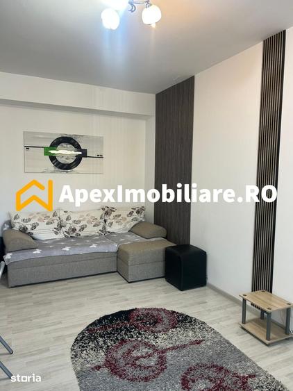 Apartament 2 camere de inchiriat Gorjului Bucuresti | ApexImobiliare.r - 5