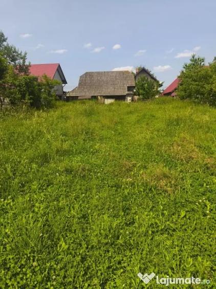Casă cu 4 camere cu Teren 2600 Mp în Horodnic