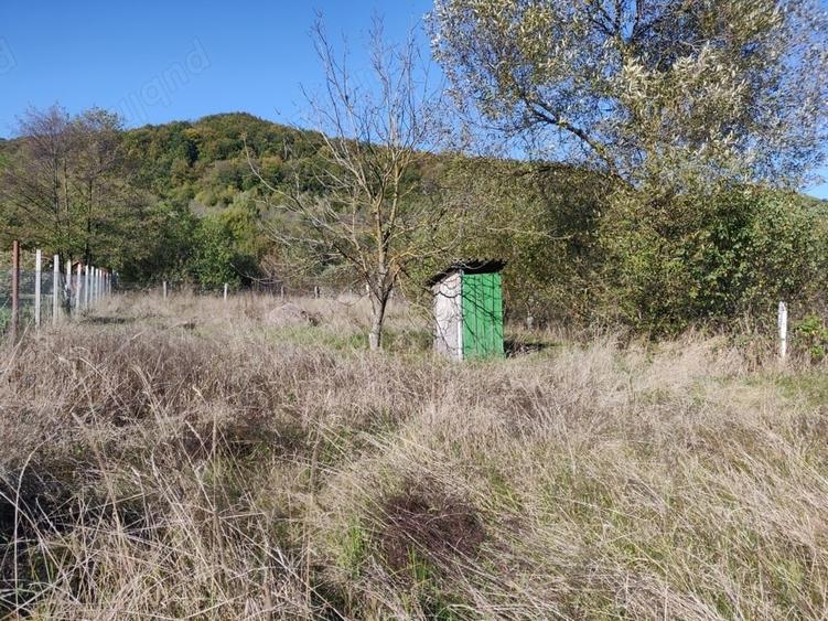 Casă cu 2 camere în Câmpu Cetății