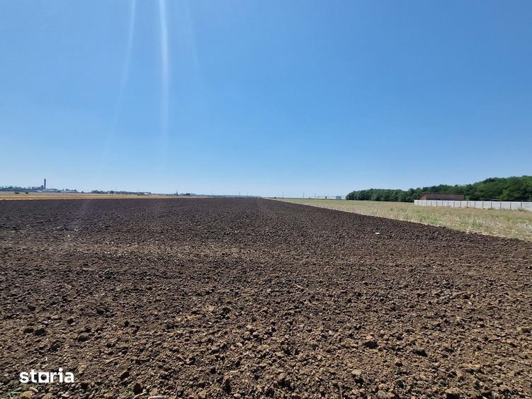Teren de 1500 mp, în Fundulea