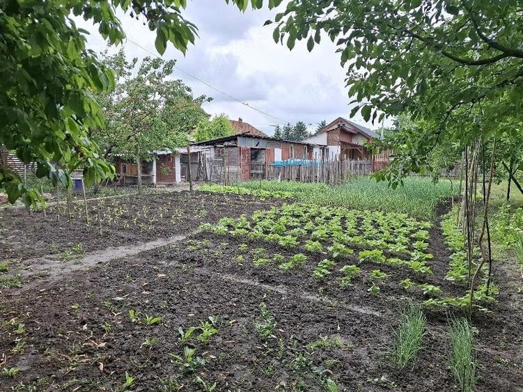 Teren de 1690 mp, în Central
