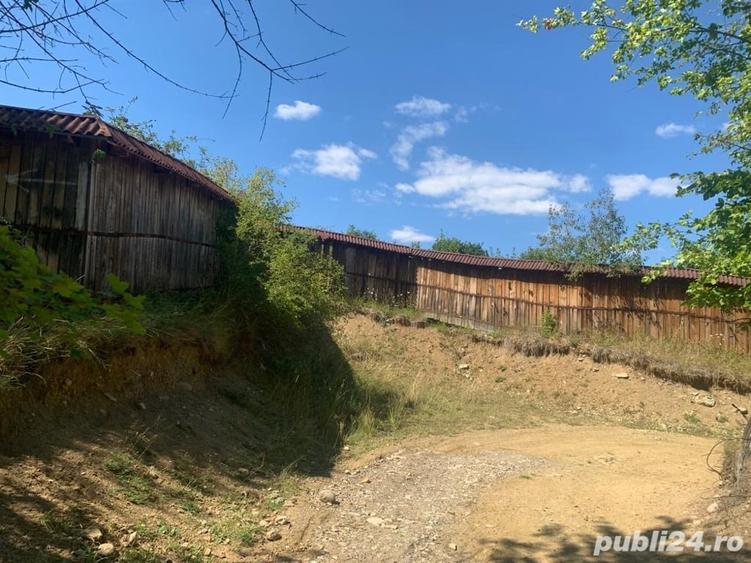 Teren de 10000 mp, în Alexandru cel Bun
