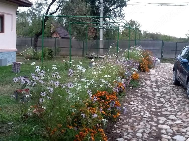 Teren de 6800 mp, în Polovragi
