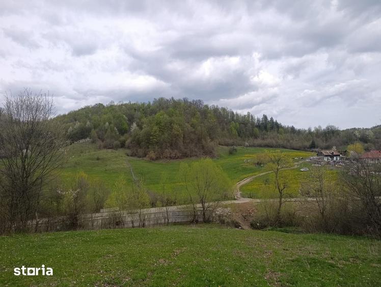 Teren de 28455 mp, în Bistrița Lac