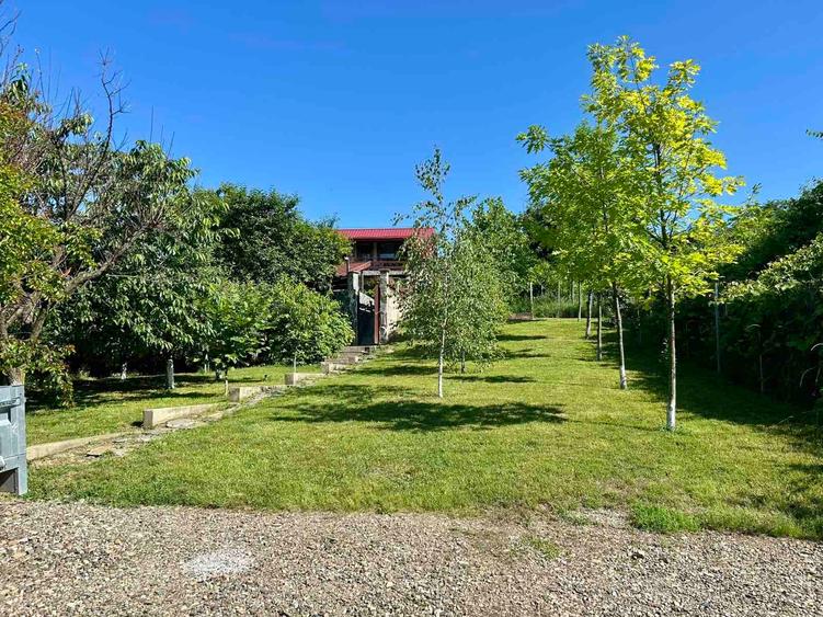 Casă individuală cu 5 camere cu Teren 1500 Mp în Bucium