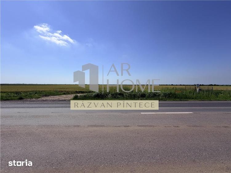 Teren de 60000 mp, în Tomșani