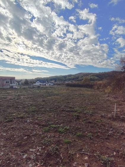 Teren Construcții intravilan de 4000 mp, în Tăuții-Măgherăuș