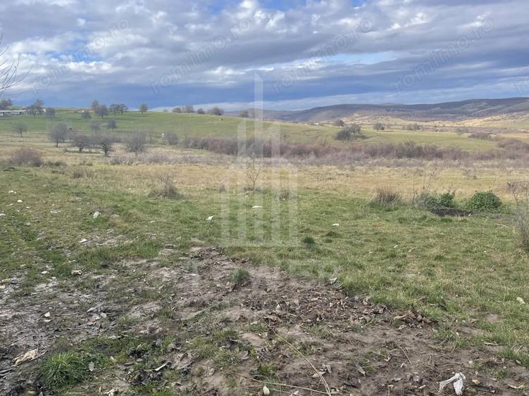 Teren de 1800 mp, în Roșia