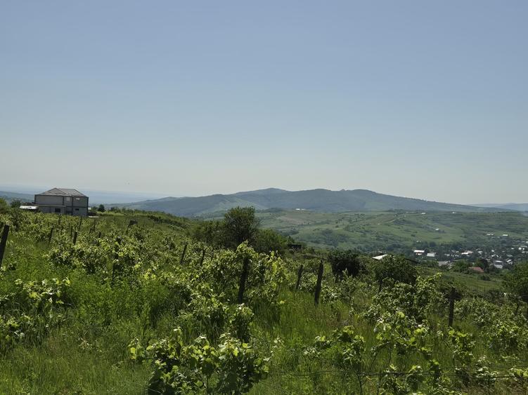 Teren intravilan Tomesti-Goruni - 1