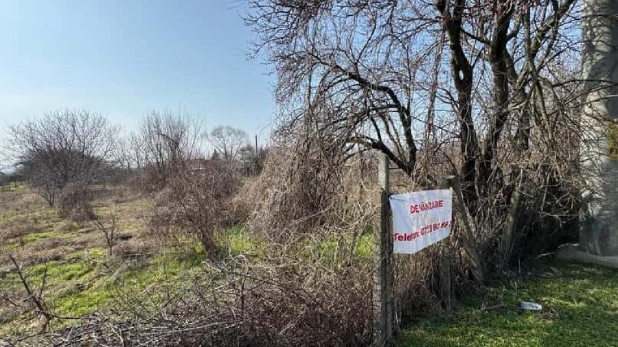 Teren agricol extravilan în Braniștea