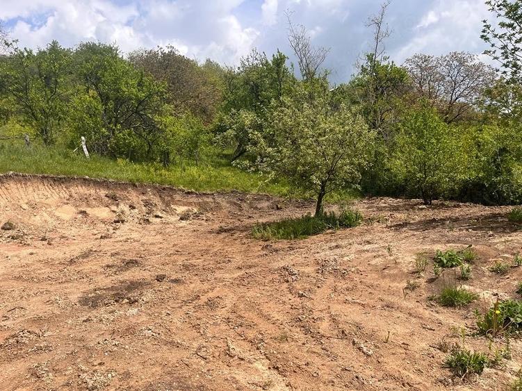 Teren de 2000 mp, în Brebu