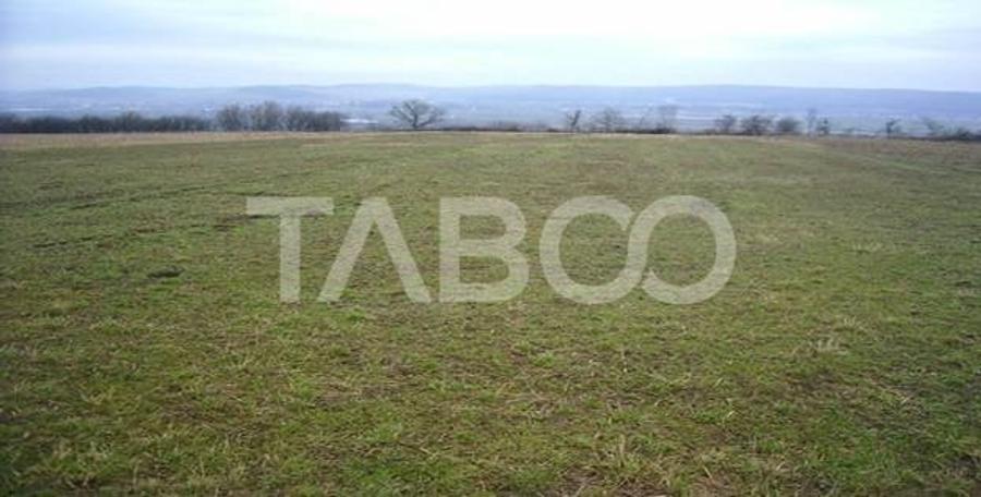 Teren Construcții intravilan de 3000 mp, în Păltiniș