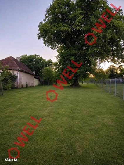 Teren de 1800 mp, în Valea Crișului