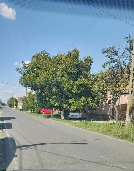 Teren de 1438 mp, în Dudeștii Noi