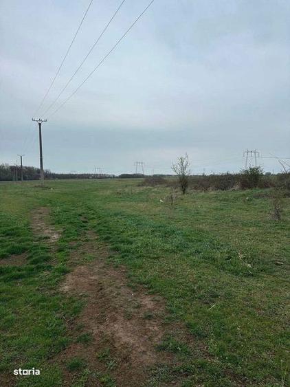 Teren de 5000 mp, în Bănești
