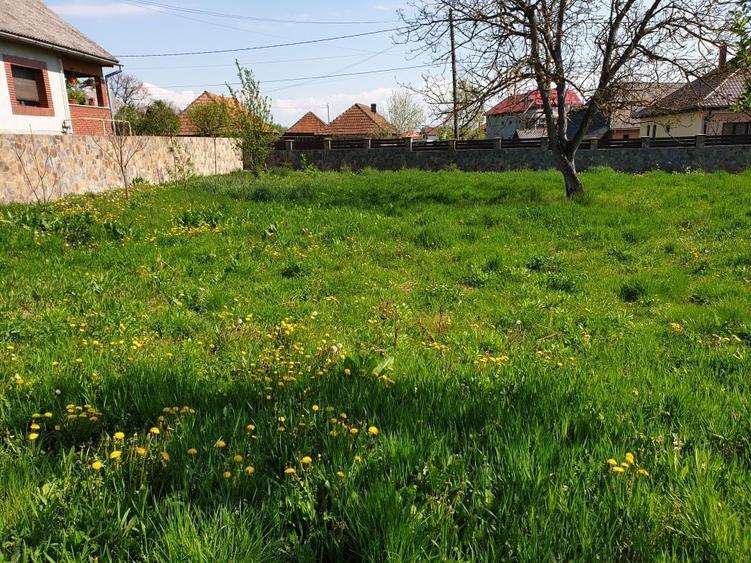 Teren de 1100 mp, în Gârdani