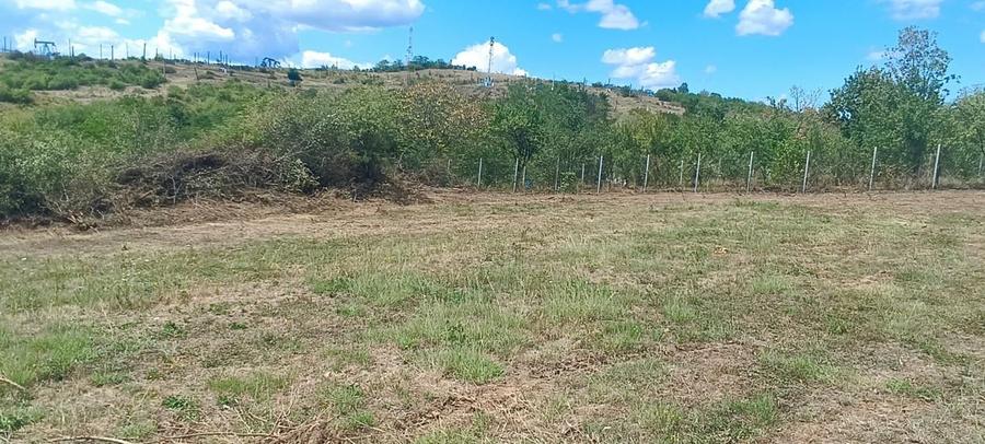Teren Construcții intravilan de 500 mp, în Exterior Est
