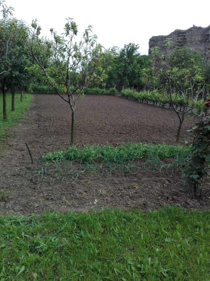 Casă cu 4 camere în Șiria