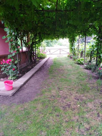 Casă cu 3 camere în Trifești