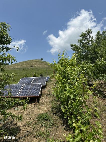 Casă cu 3 camere cu Teren 3500 Mp în Târnăveni