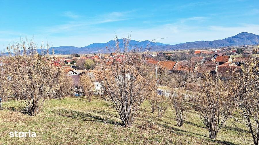 Teren de 17000 mp, în Central
