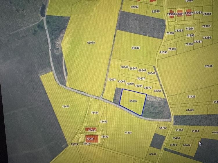 Teren de 2700 mp, în Vișani
