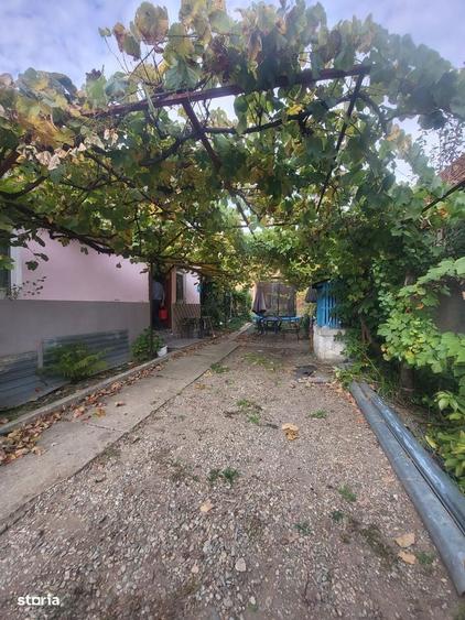 Casă cu 2 camere în Boz