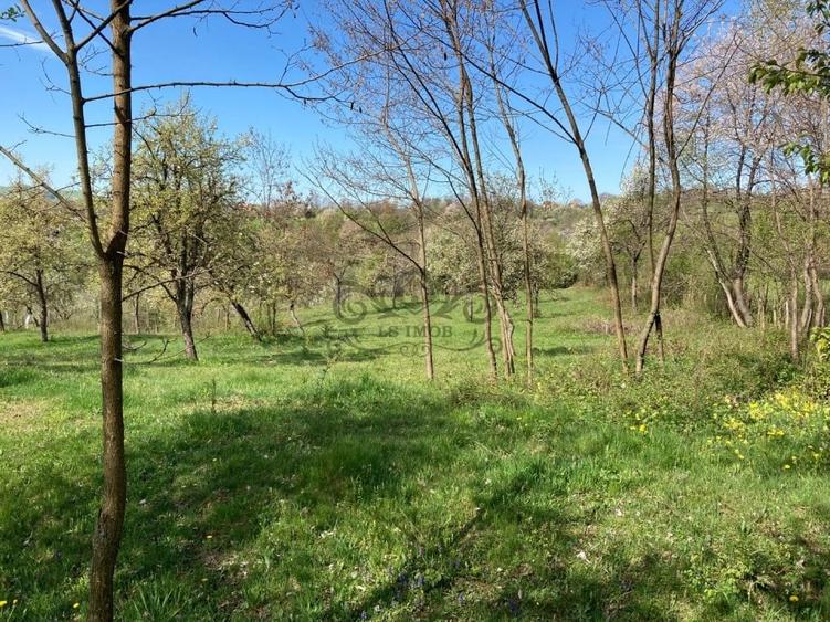 Teren Construcții intravilan de 4905 mp, în Albeștii de Muscel
