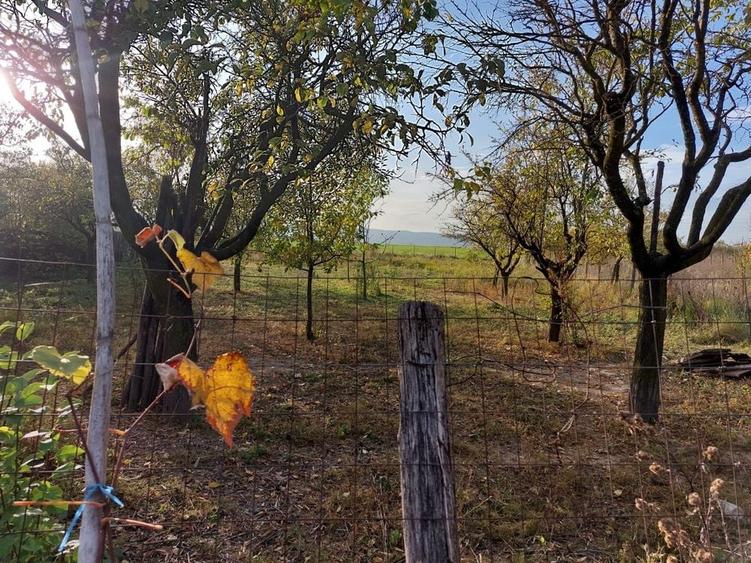 Casă cu 4 camere în Batia