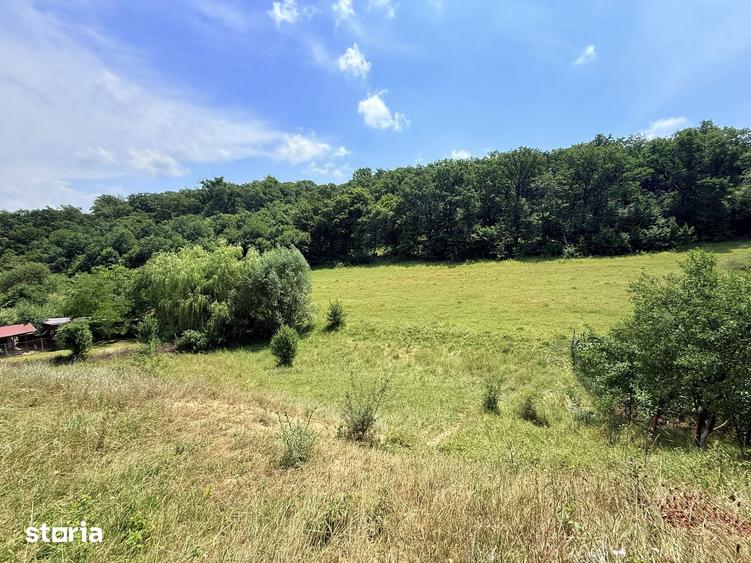 Teren de 2500 mp, în Sântana de Mureș