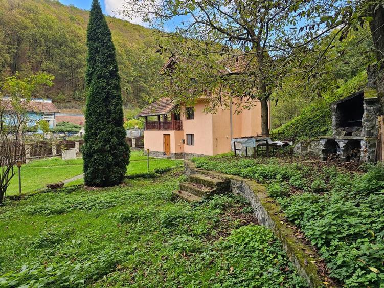 Vila Exclusivista Vetel,valea Caoiului - 17