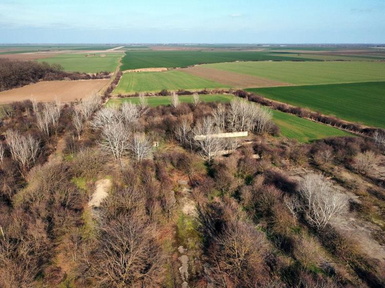 Teren Construcții intravilan de 70291 mp, în Micșunești-Moară