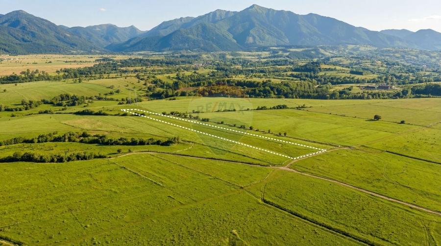 Teren agricol extravilan de 8329 mp, în Glăjărie