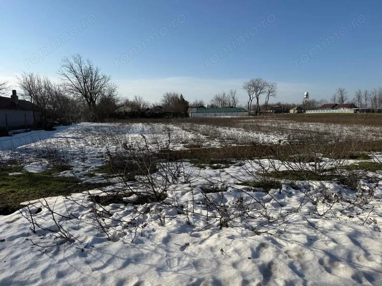 Teren de 3200 mp, în Grivița