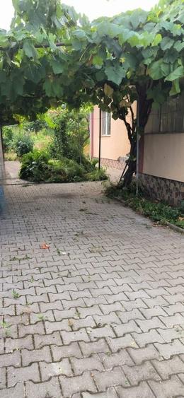 Casă cu 2 camere în Apahida