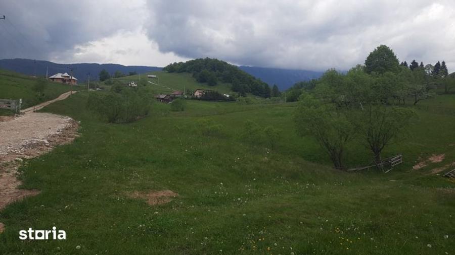 Teren frumos Dambovicioara Valea Urdii - 3