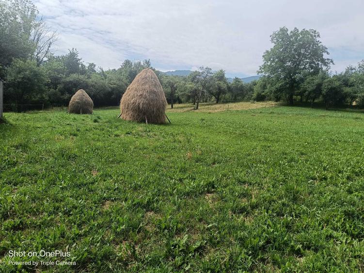 Casă cu 3 camere în Breb